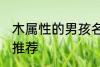木属性的男孩名字 木属性的男孩名字推荐
