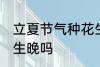 立夏节气种花生晚不晚 立夏节气种花生晚吗