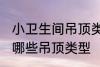 小卫生间吊顶类型有哪些 小卫生间有哪些吊顶类型