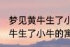 梦见黄牛生了小牛有什么兆头 梦见黄牛生了小牛的寓意是啥