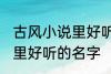 古风小说里好听的名字 优雅好听小说里好听的名字