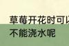 草莓开花时可以浇水吗 草莓开花时能不能浇水呢