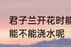 君子兰开花时能浇水吗 君子兰开花时能不能浇水呢