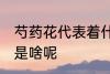 芍药花代表着什么意思 芍药花代表的是啥呢