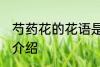 芍药花的花语是什么啊 芍药花的花语介绍