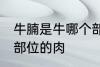 牛腩是牛哪个部位的肉 牛腩是牛什么部位的肉
