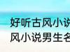 好听古风小说男生名字 韵味十足的古风小说男生名字