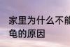 家里为什么不能养乌龟 家里不能养乌龟的原因
