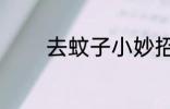 去蚊子小妙招 去蚊子的方法