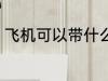飞机可以带什么 飞机可以带哪些物品