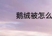 鹅绒被怎么晒 如何晒鹅绒被
