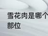 雪花肉是哪个部位 猪的雪花肉是哪个部位