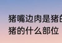 猪嘴边肉是猪的哪个部位 猪嘴边肉是猪的什么部位
