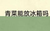 青菜能放冰箱吗 青菜正确保存方法