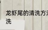 龙虾尾的清洗方法家庭 龙虾尾如何清洗