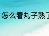 怎么看丸子熟了没有 如何看丸子熟了