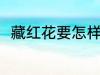藏红花要怎样保存 藏红花如何保存