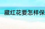 藏红花要怎样保存 藏红花如何保存