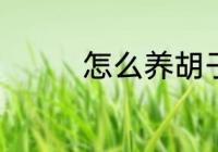 怎么养胡子 如何保养胡子