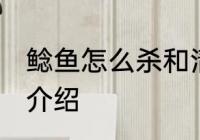 鲶鱼怎么杀和清洗 杀鲶鱼和清洗方法介绍