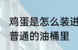 鸡蛋是怎么装进油桶 如何把鸡蛋装进普通的油桶里