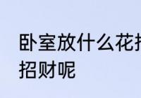 卧室放什么花招财 卧室合适放什么花招财呢