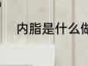 内脂是什么做的 内脂的制作材料