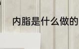 内脂是什么做的 内脂的制作材料