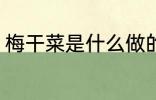 梅干菜是什么做的 梅干菜的制作原料