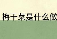 梅干菜是什么做的 梅干菜的制作原料
