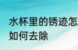 水杯里的锈迹怎么清洗 水杯里的锈迹如何去除