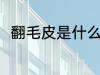 翻毛皮是什么材质 翻毛皮是啥材质