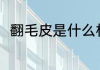 翻毛皮是什么材质 翻毛皮是啥材质