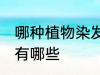 哪种植物染发剂最好 植物类的染发剂有哪些