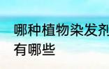 哪种植物染发剂最好 植物类的染发剂有哪些