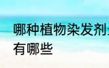 哪种植物染发剂最好 植物类的染发剂有哪些