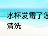 水杯发霉了怎么清洗 水杯发霉了如何清洗