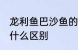 龙利鱼巴沙鱼的区分 龙利鱼巴沙鱼有什么区别