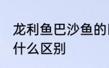 龙利鱼巴沙鱼的区分 龙利鱼巴沙鱼有什么区别