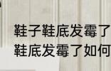 鞋子鞋底发霉了怎么办才能洗掉 鞋子鞋底发霉了如何才能洗掉