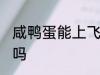 咸鸭蛋能上飞机吗 咸鸭蛋可以上飞机吗