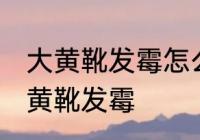 大黄靴发霉怎么洗掉霉斑 如何解决大黄靴发霉