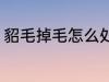 貂毛掉毛怎么处理 貂毛掉毛如何处理