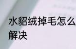 水貂绒掉毛怎么处理 水貂绒掉毛怎么解决