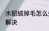 水貂绒掉毛怎么处理 水貂绒掉毛怎么解决