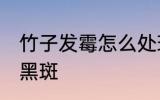 竹子发霉怎么处理 竹子发霉怎么处理黑斑