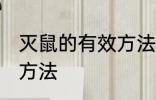 灭鼠的有效方法是什么？ 灭鼠的有效方法
