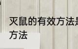 灭鼠的有效方法是什么？ 灭鼠的有效方法
