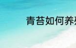 青苔如何养殖 青苔怎么养