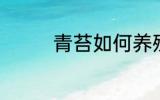 青苔如何养殖 青苔怎么养